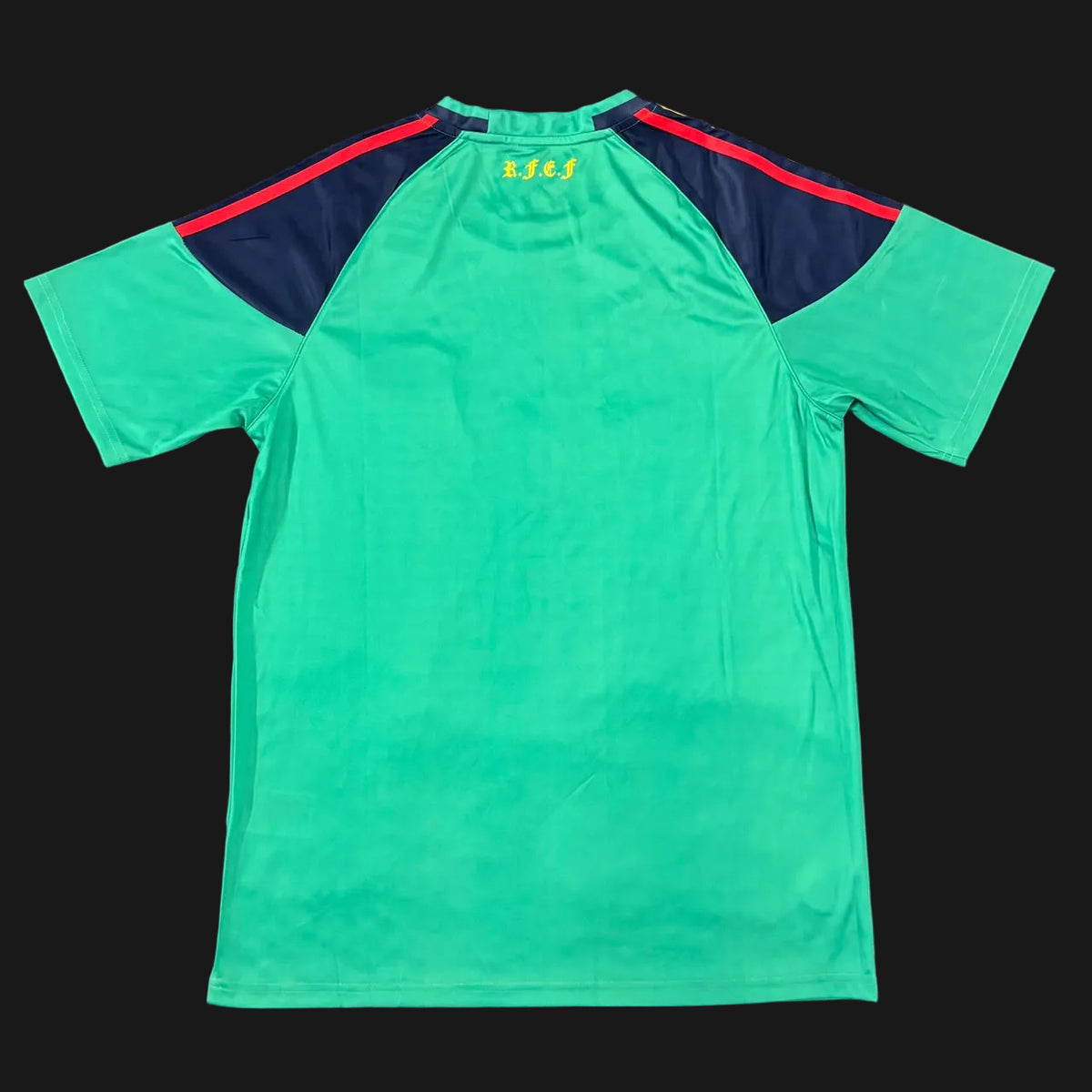Spain Goalkeeper 2010