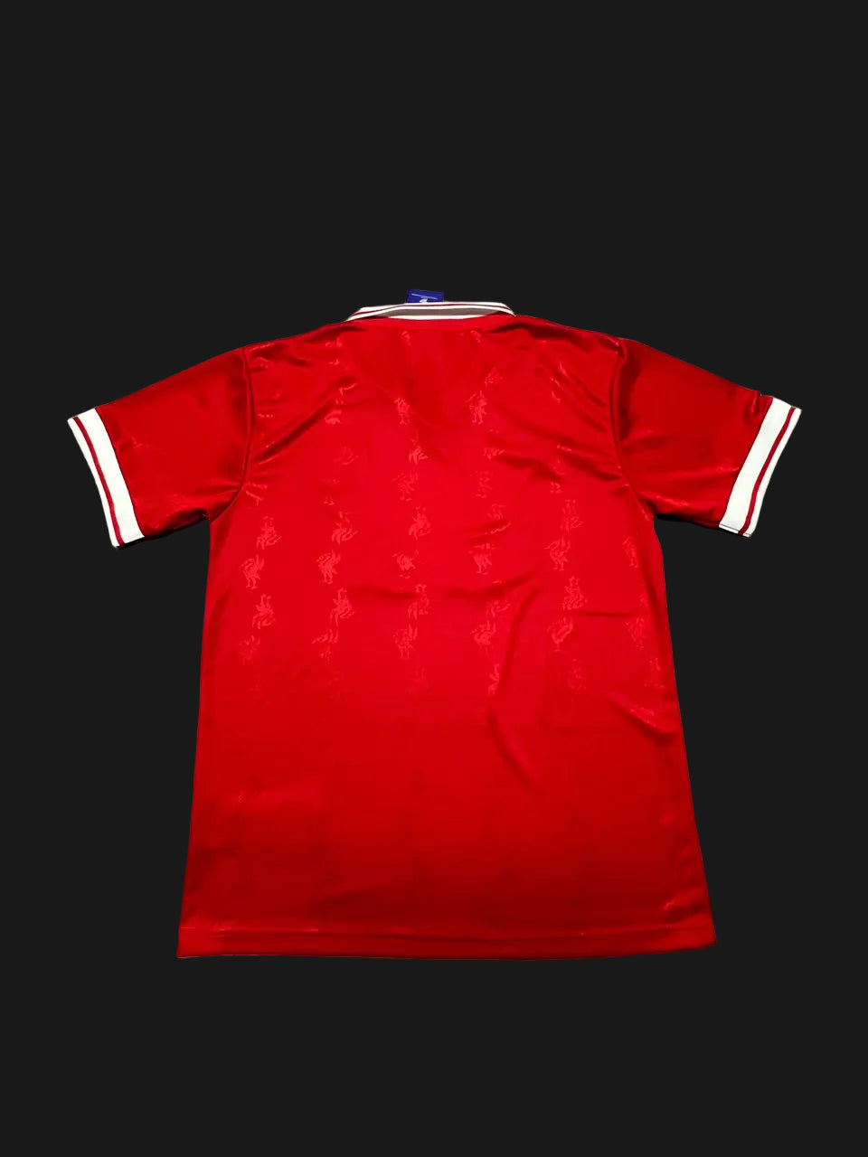 Liverpool 96/97