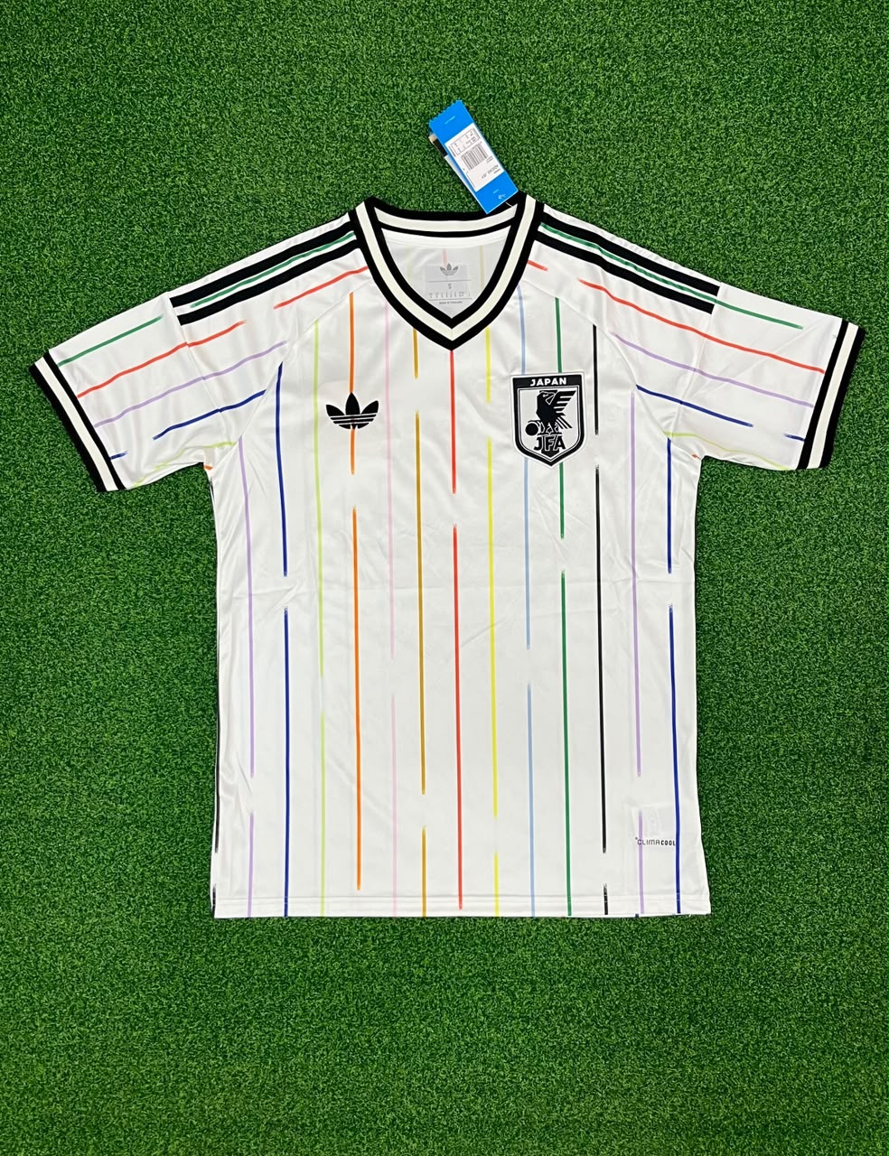 Japón Visita Mundial 2026