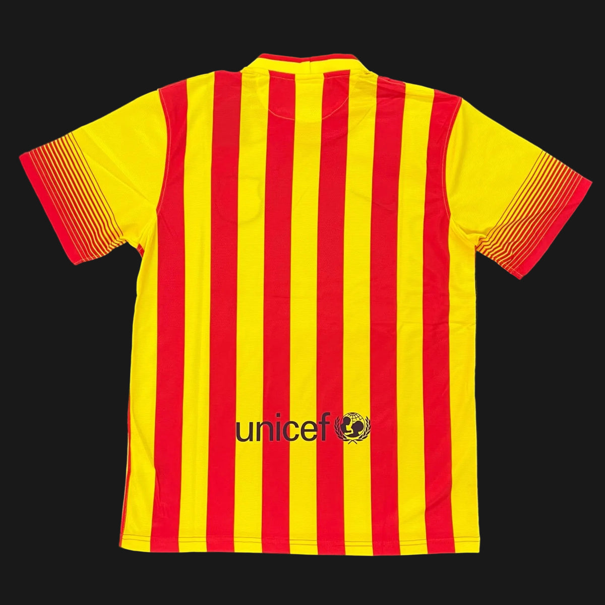 FC Barcelona Visita 13/14