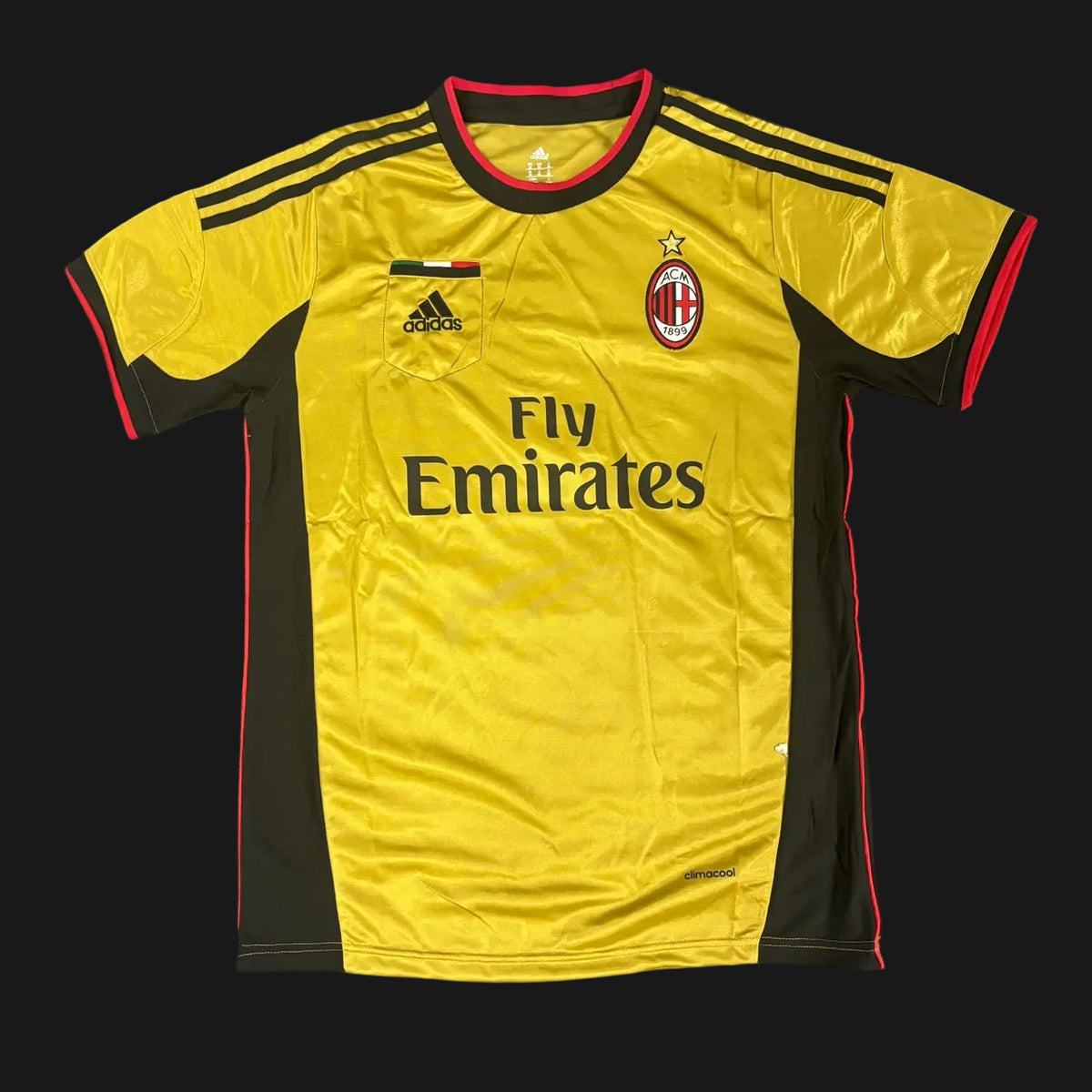 AC Milan Visita 13/14
