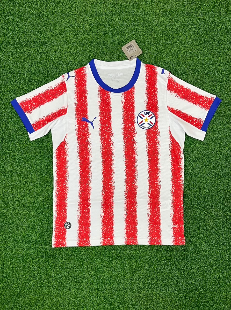 Paraguay Mundial 2026