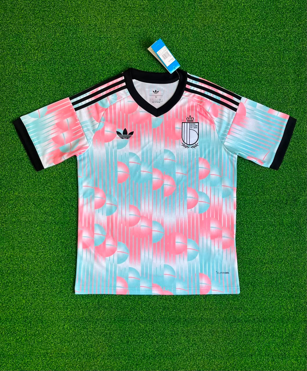 Bélgica Visita Mundial 2026