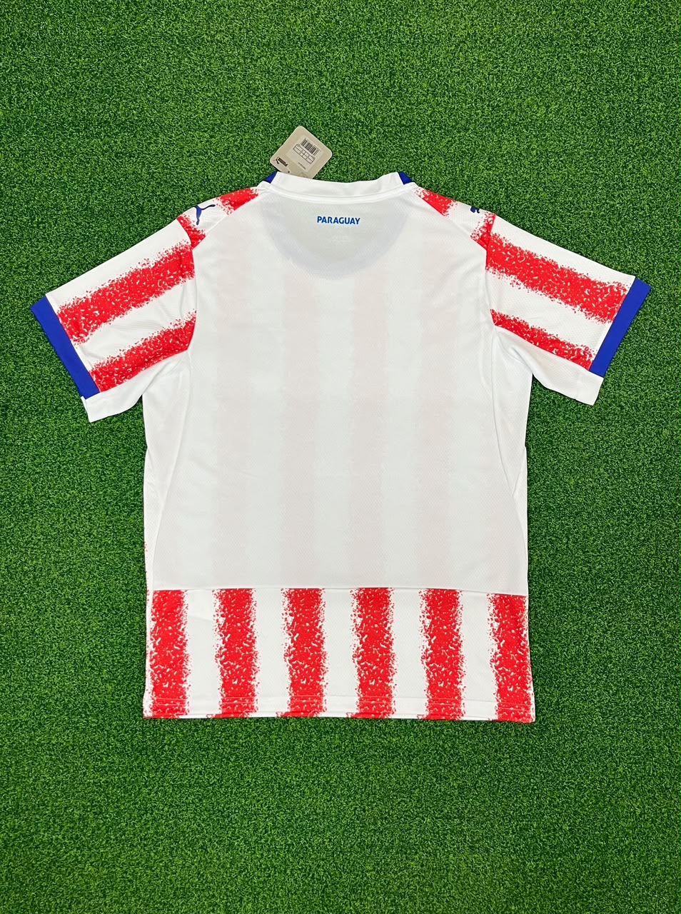 Paraguay Mundial 2026