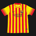 FC Barcelona Visita 13/14