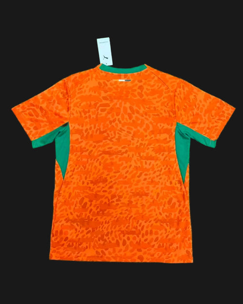Ivory Coast World Cup 2026