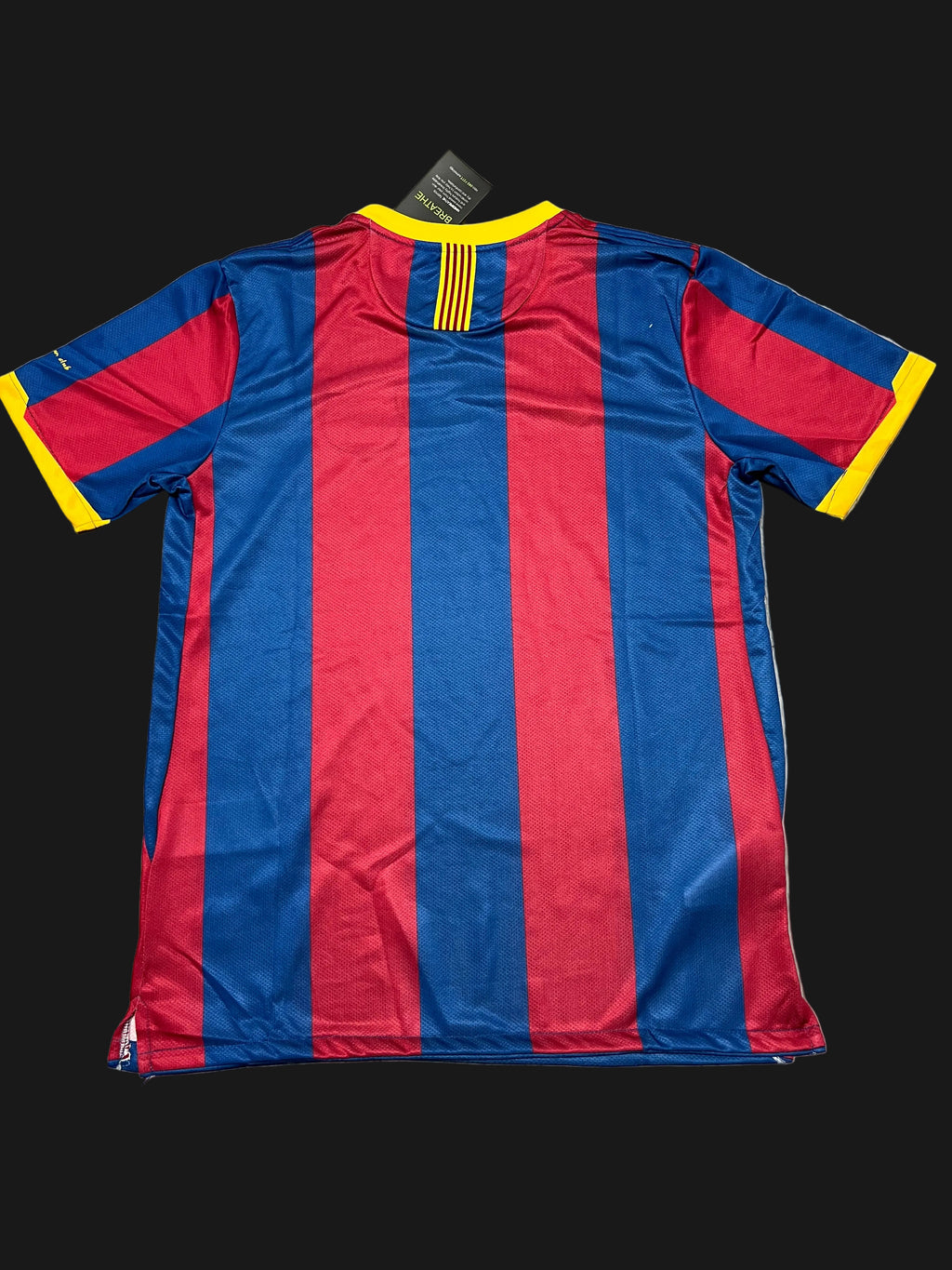 FC Barcelona 10/11