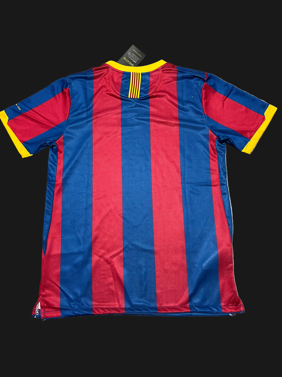 FC Barcelona 10/11