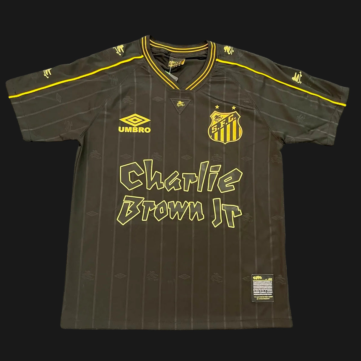 Santos FC Visit 24/25
